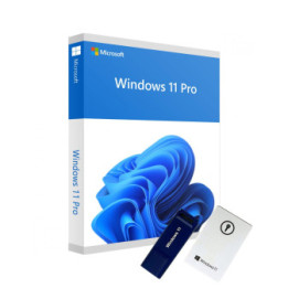 Lizenzinator Windows 11 Pro  - USB Boot Stick + Lizenzschlüssel