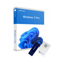 Lizenzinator Windows 11 Pro...