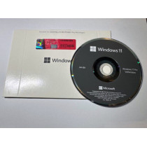 Windows 11 Pro - Lizenz - 1 Lizenz - OEM - DVD - COA - 64-bit - Deutsch + USB Stick