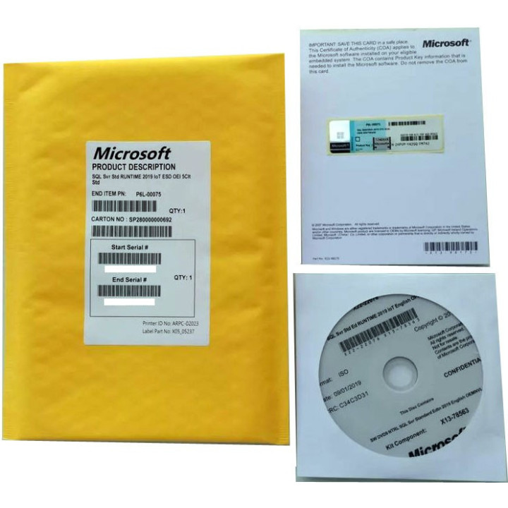 Microsoft SQL Server 2019 Standard IoT OEM inkl. 5 Cals